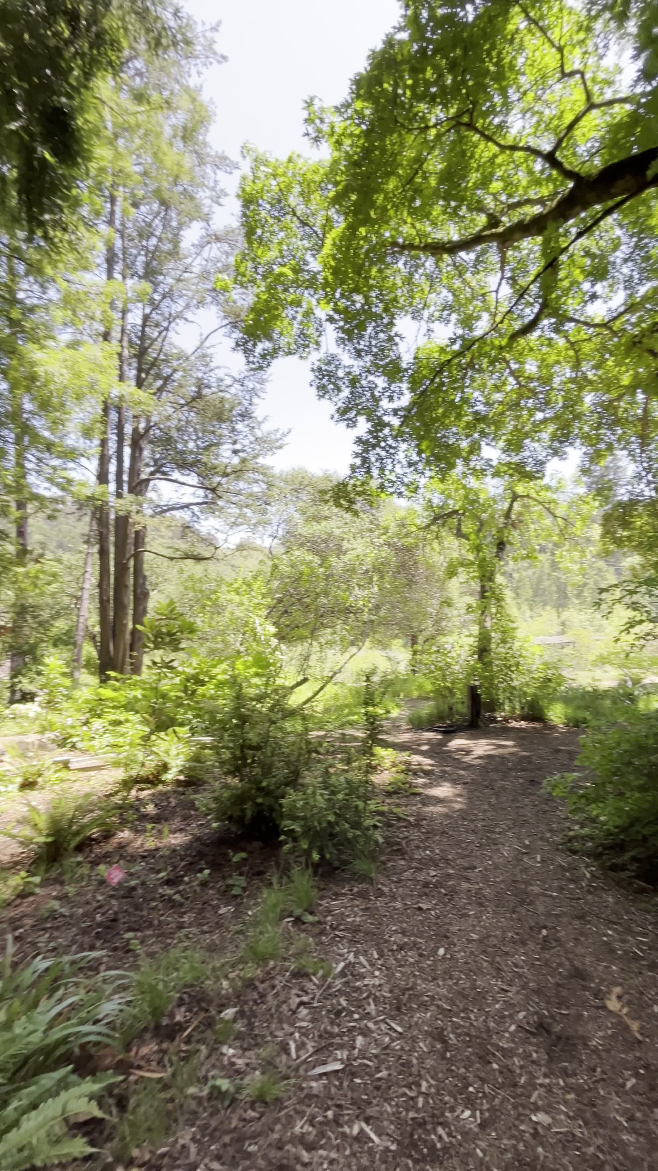 Regional Parks Botanic Garden