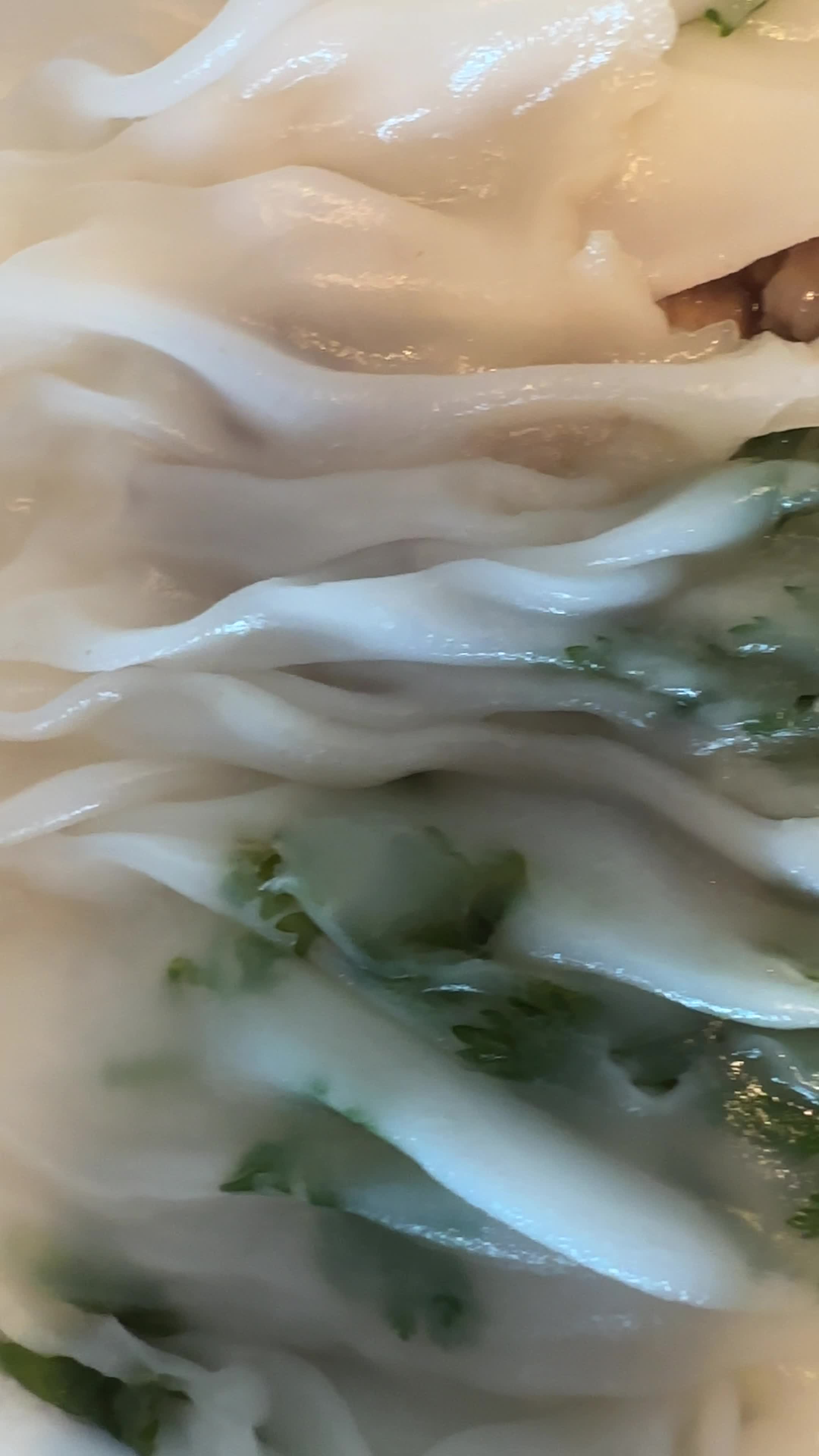 Video review of Yummy Cantonese Restaurant 老西関腸粉