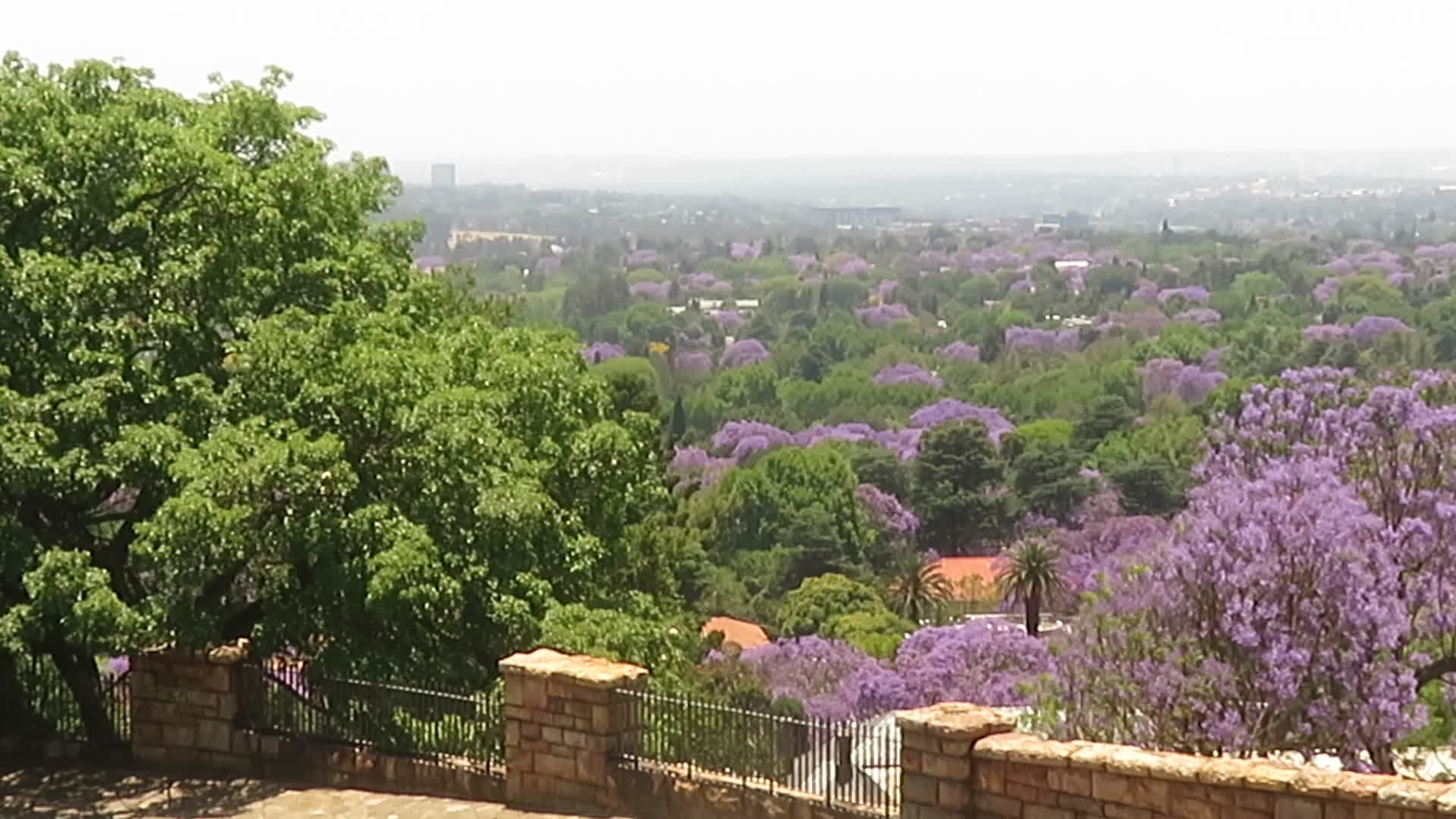 Munro Drive Scenic View