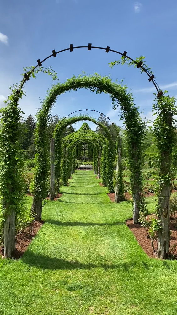 Elizabeth Park Rose Garden