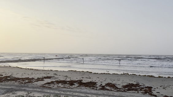 Jetty