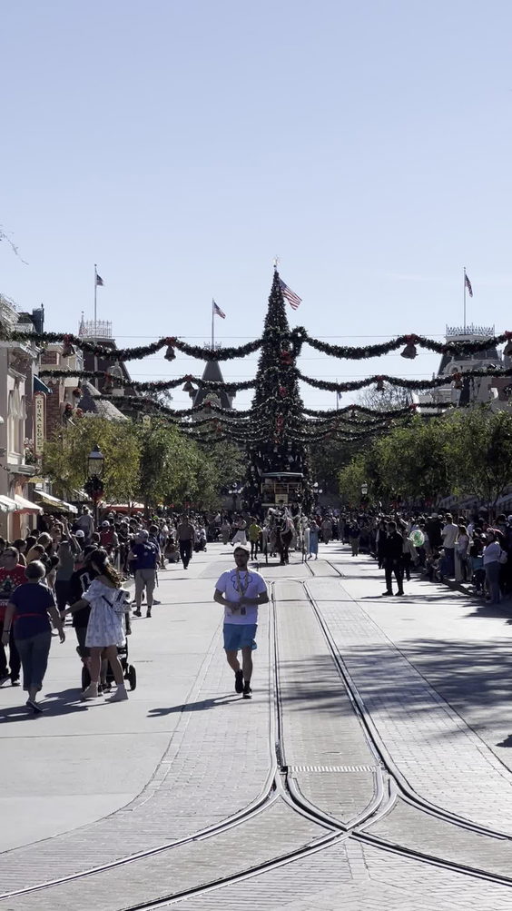 Disneyland Park