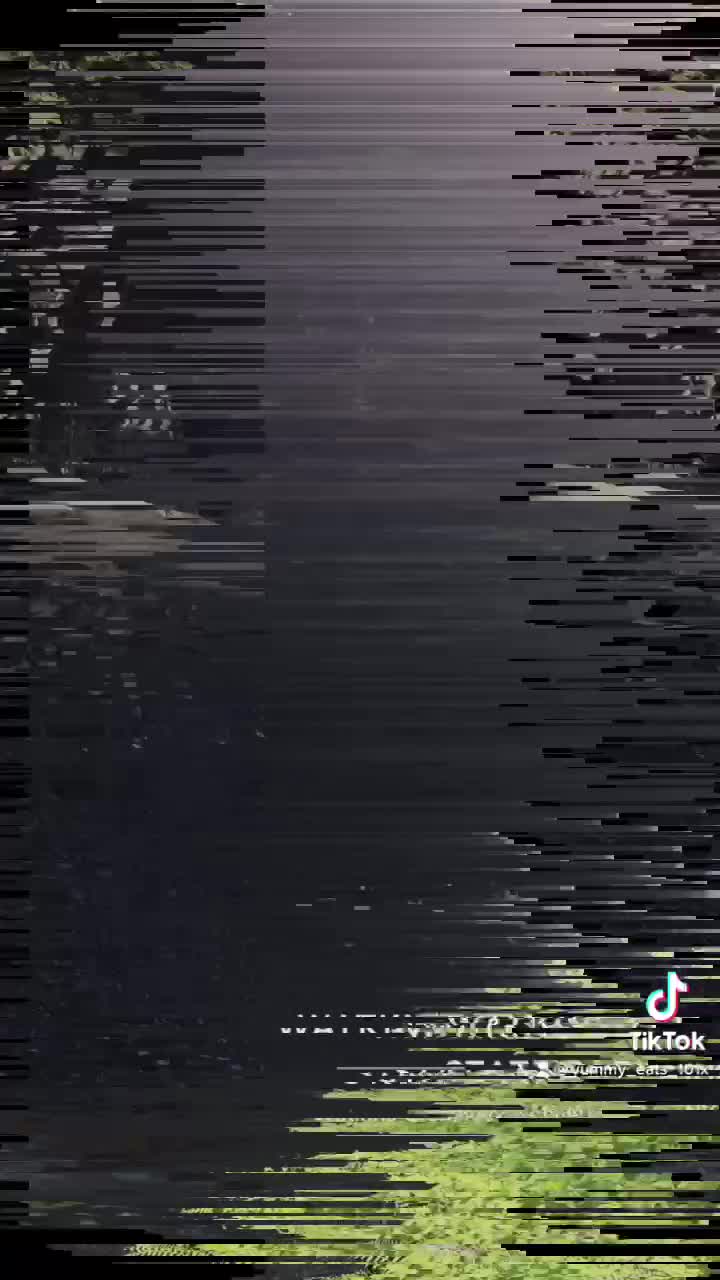 Watkins Glen State Park