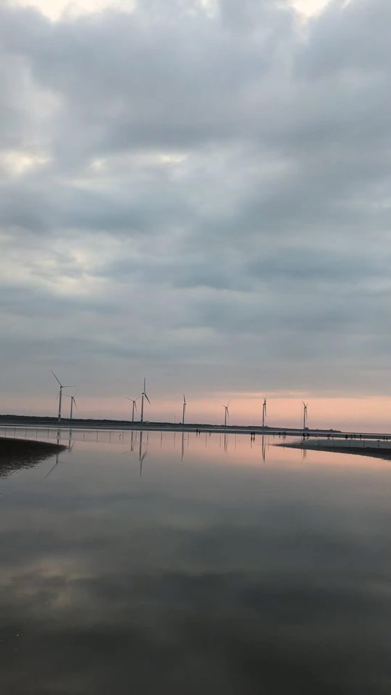 高美濕地 Gaomei Wetlands