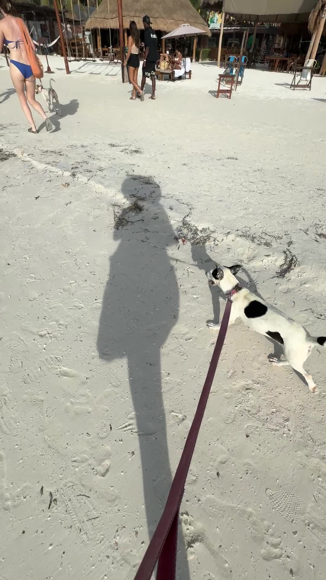 Playa Holbox