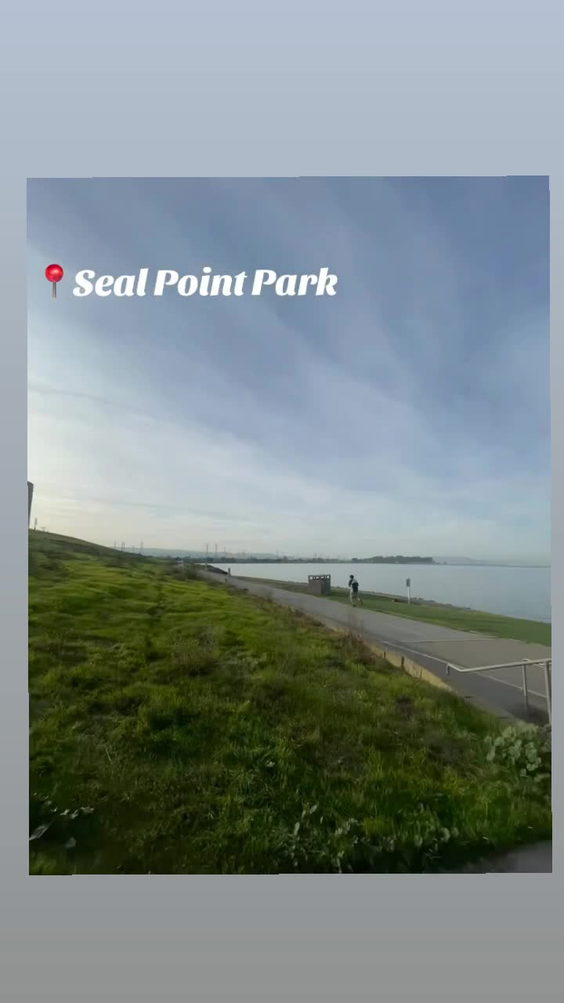 Seal Point Park