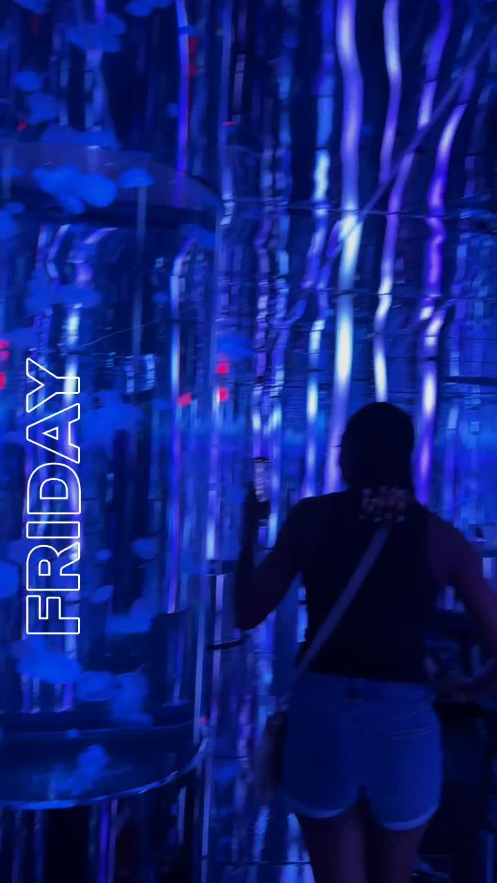 Video review of Mel's Hard Luck Diner