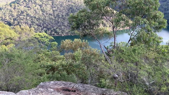 Ku-Ring-Gai Chase National Park