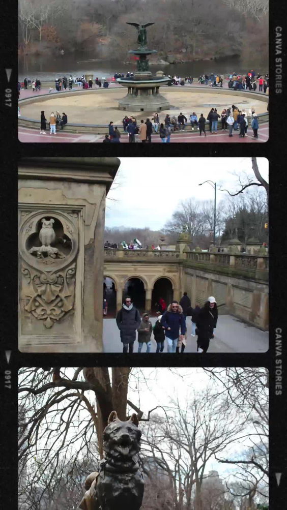 Central park