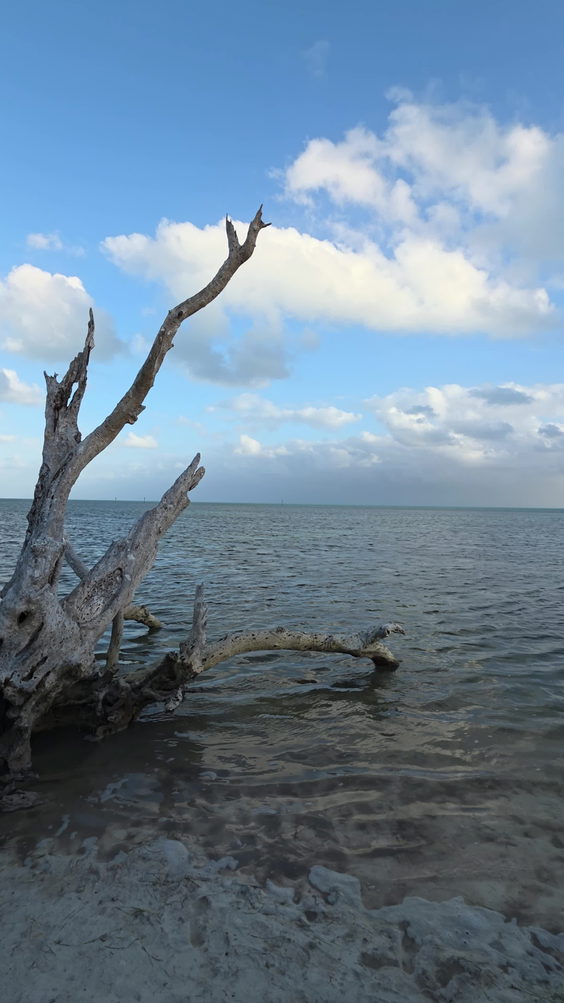 Anne's Beach