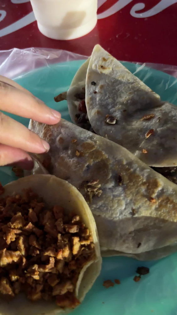 Tacos Dany