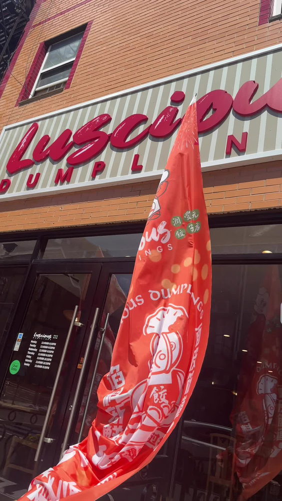 Luscious Dumplings