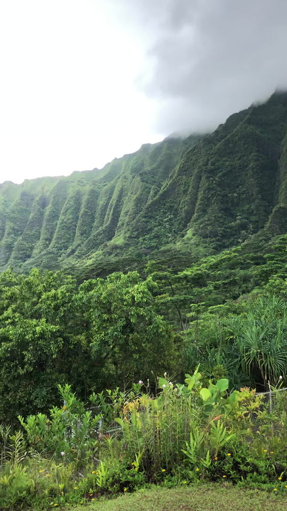 Ho‘omaluhia Botanical Garden