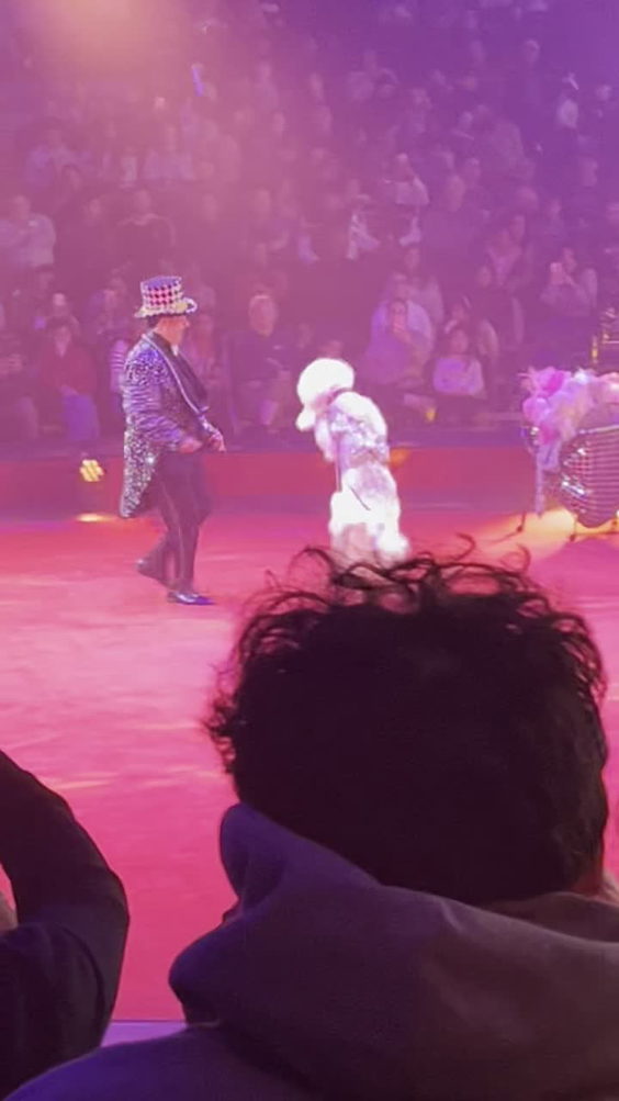 Big Apple Circus