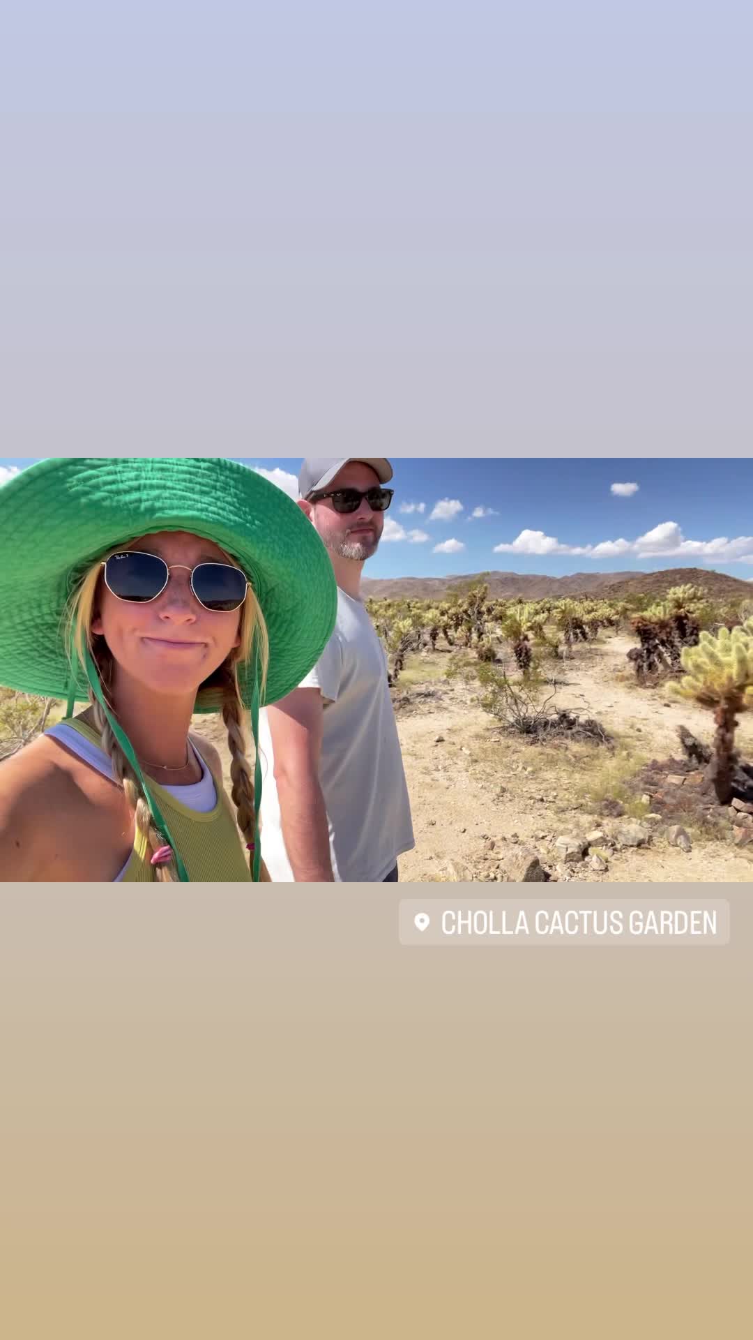 Cholla Cactus Garden