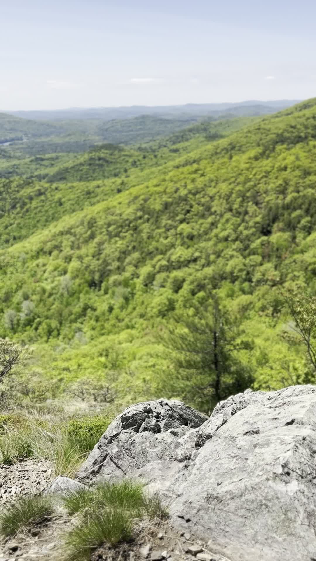 Burnt meadow mountain trail