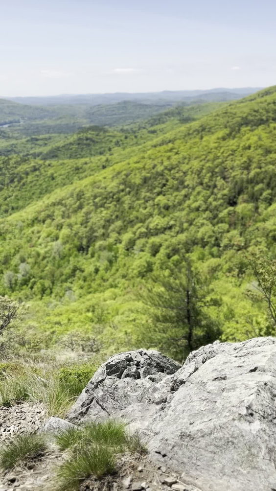 Burnt meadow mountain trail