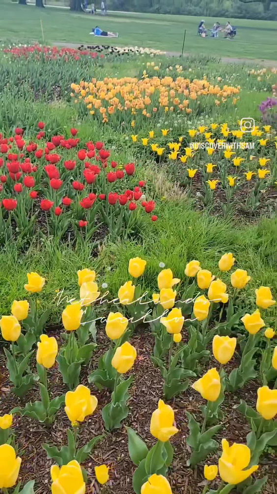Netherlands Carillon