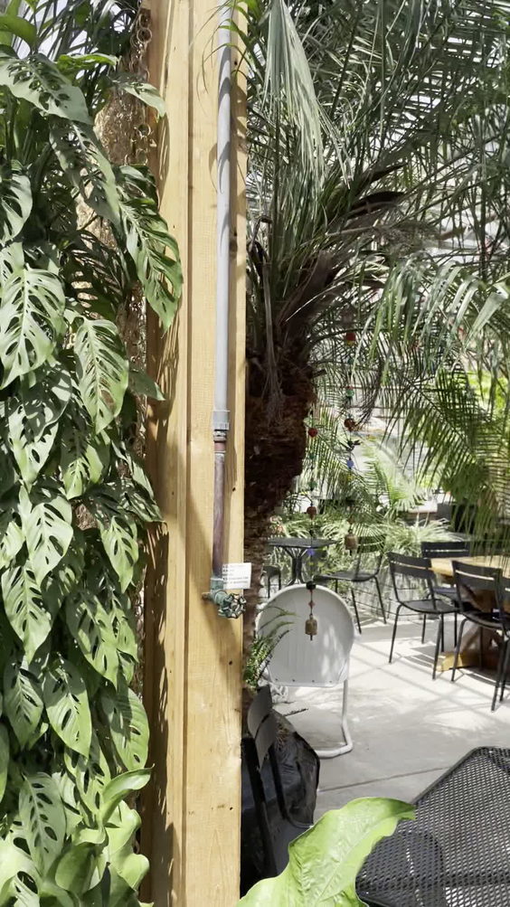 Café Equinox
