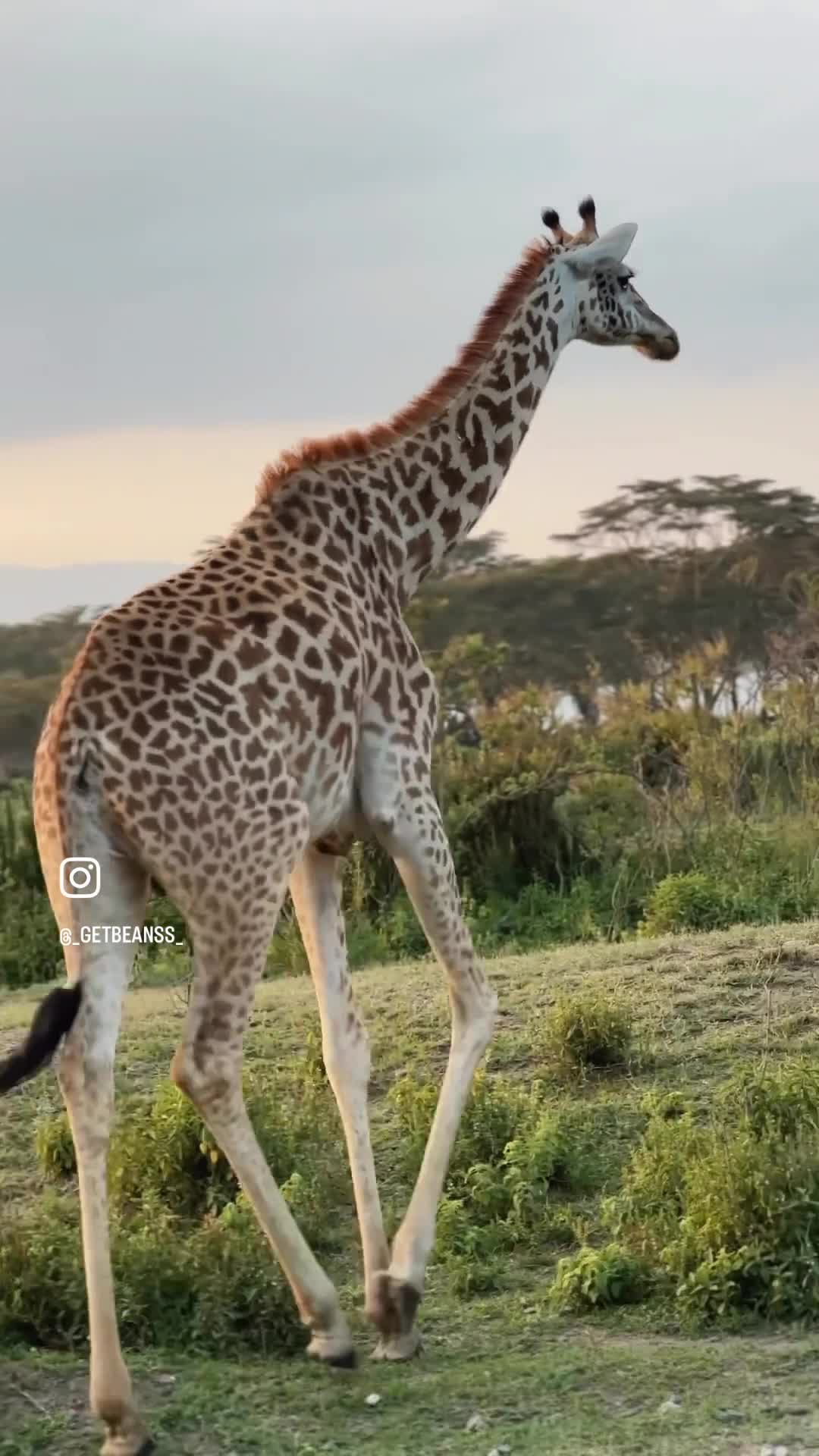 Oloiden camping site 