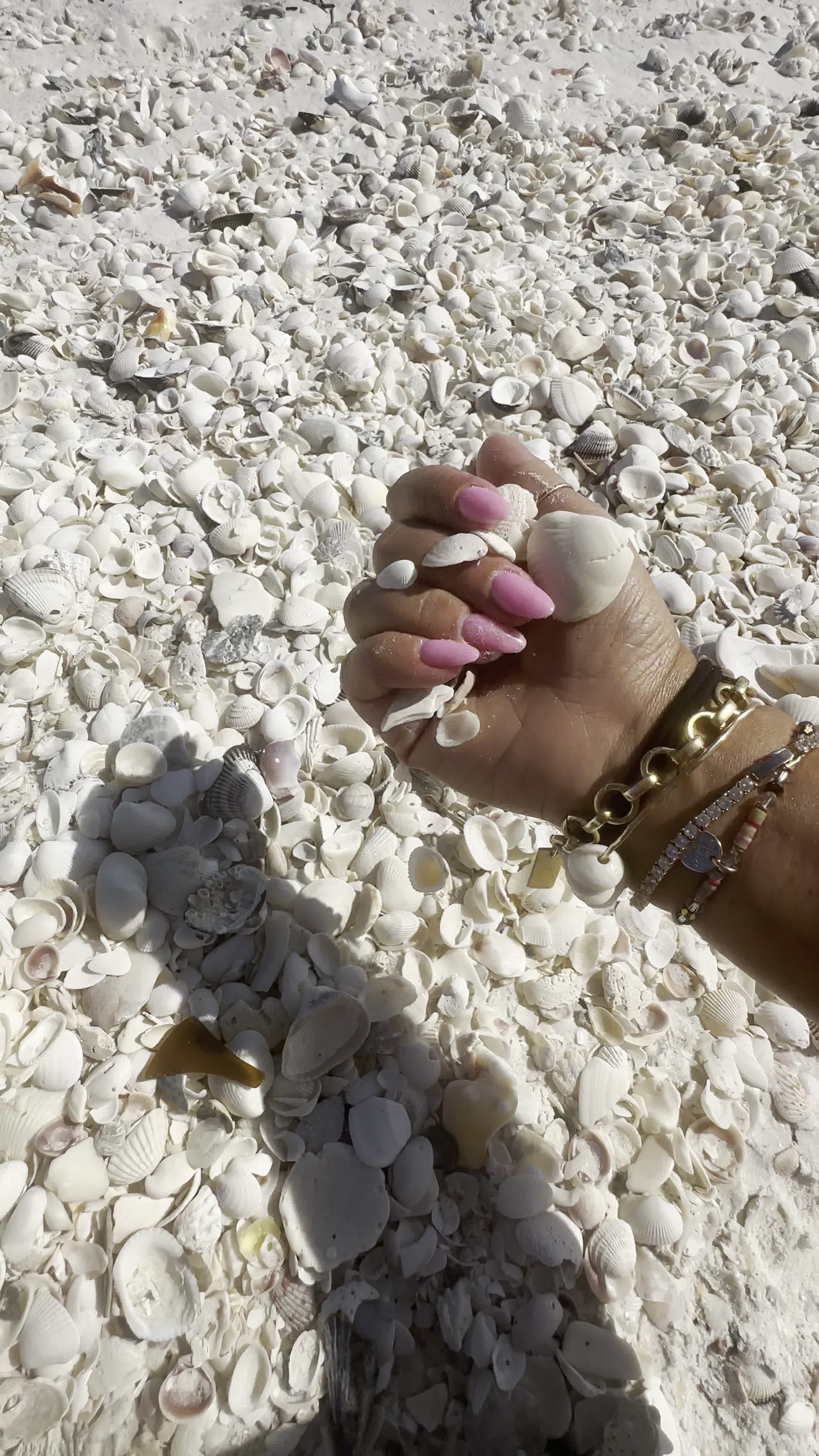 Keewaydin Island Beach Excursion