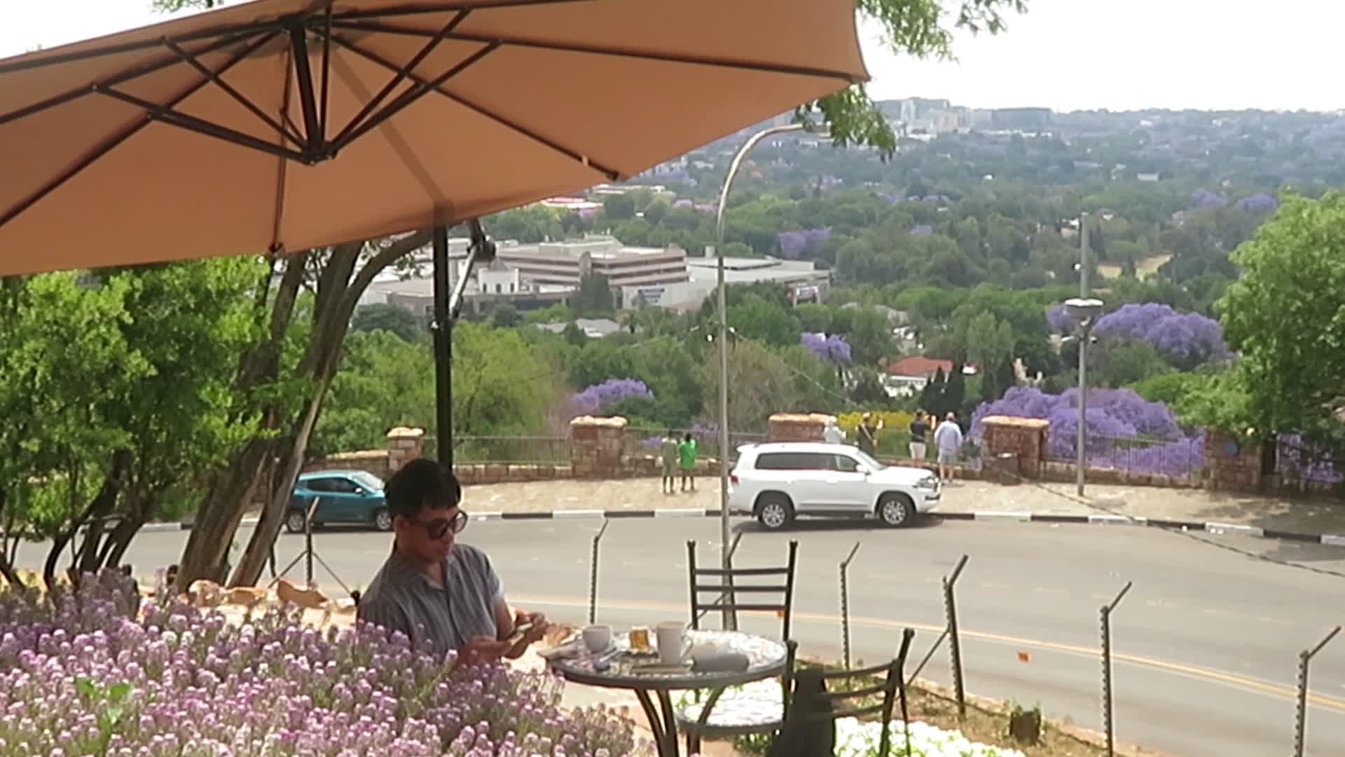 Munro Drive Scenic View