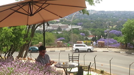 Munro Drive Scenic View