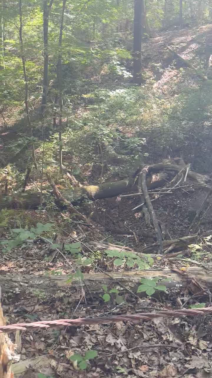 Wadsworth Falls State Park