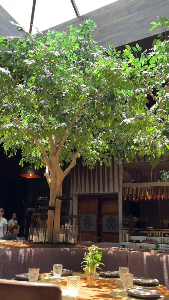Toca Madera Scottsdale