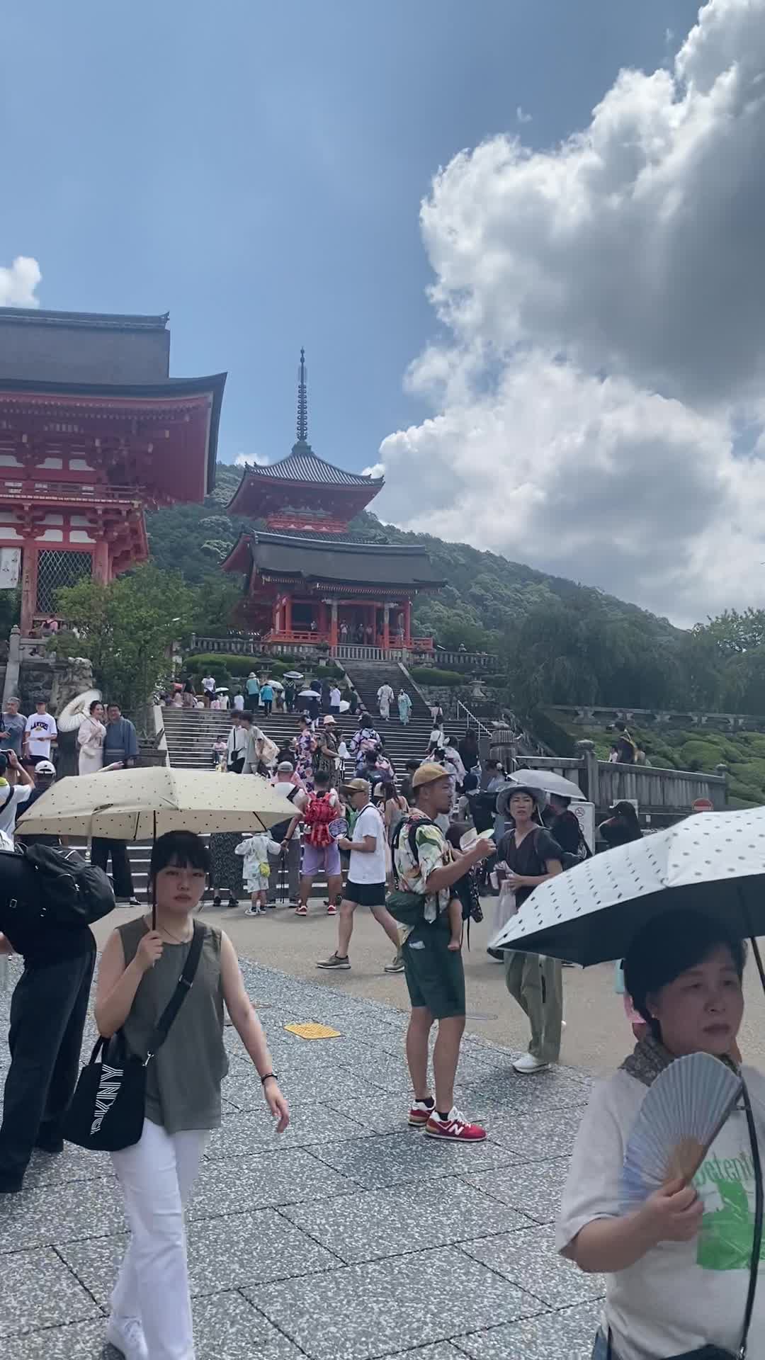 Video review of Kiyomizu-dera Temple (清水寺)