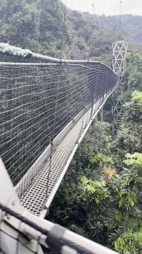 Nyungwe
