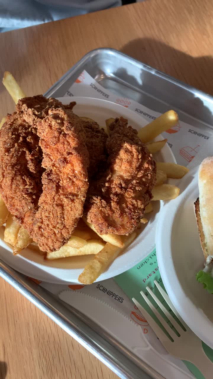 Video review of Schnipper's