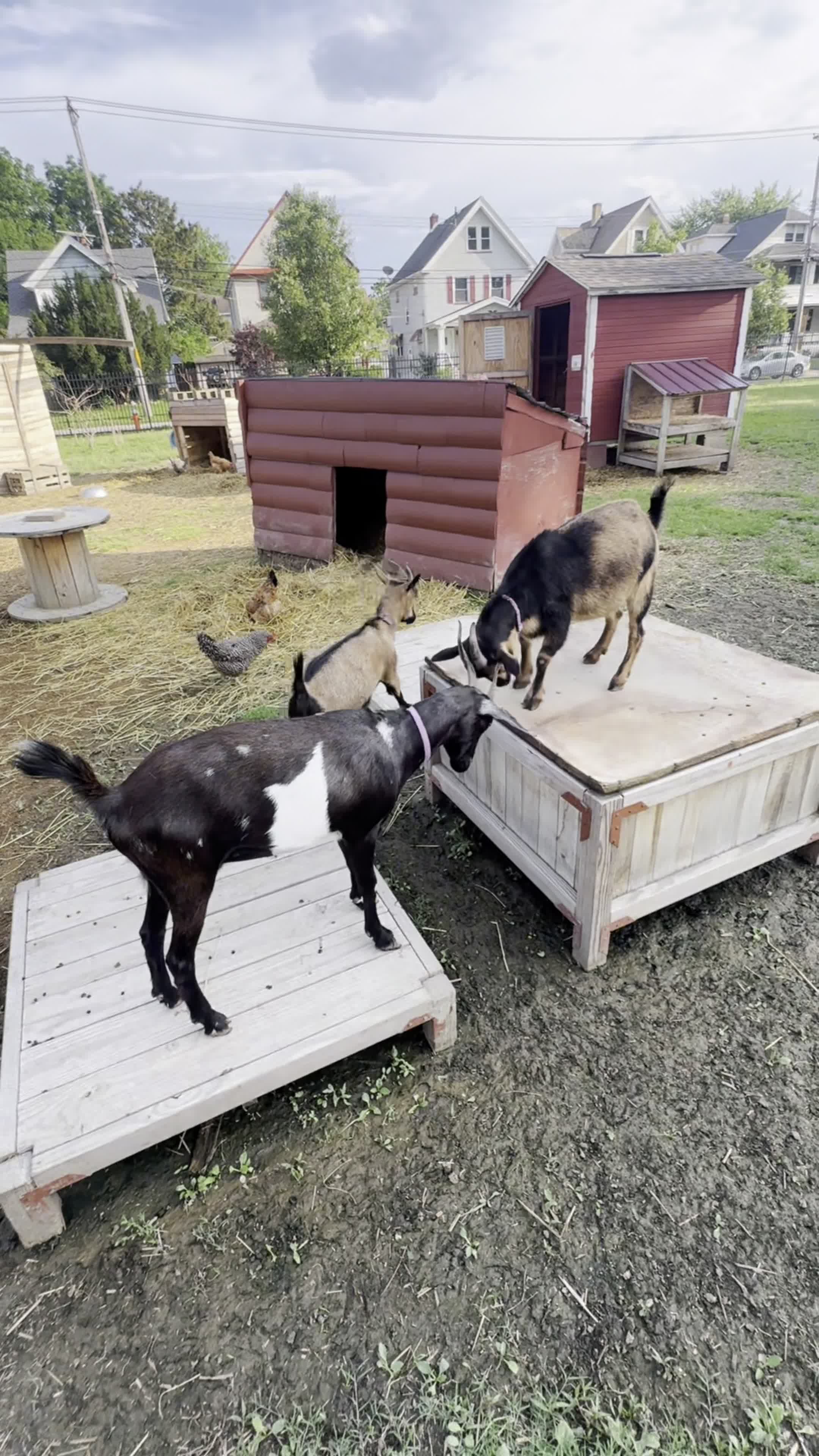 Vino Veritas Cellars Winery & Wine Bar