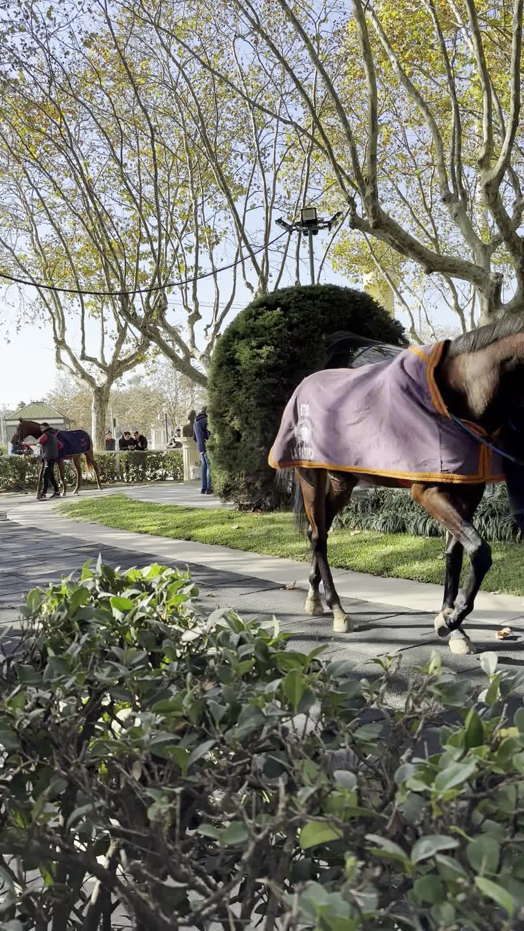 Hipódromo Argentino de Palermo
