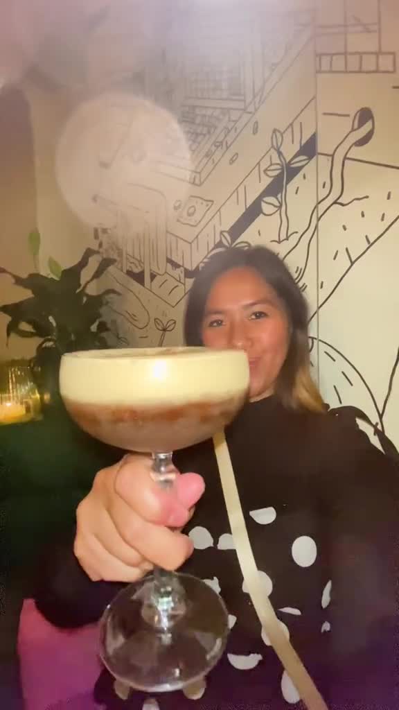 Video review of Sydney Harbour Bridge