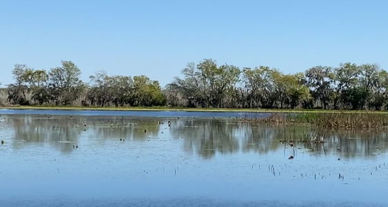 Rio Brazos Distillery