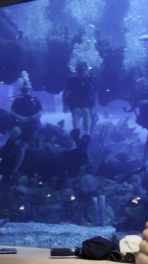 Coral Reef Restaurant