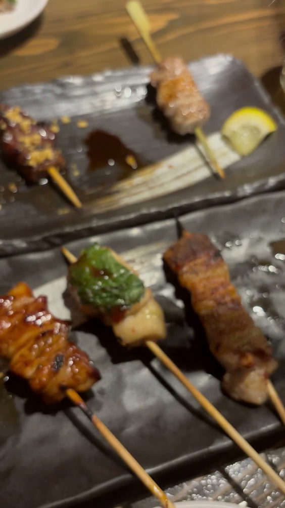 Zakkushi Charcoal Grill