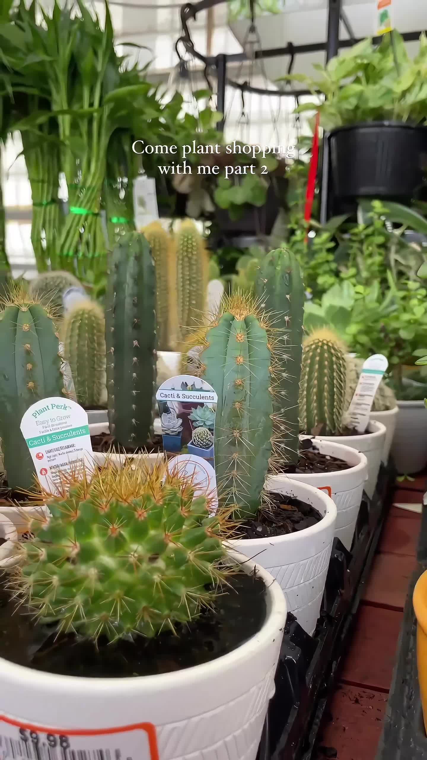 The Home Depot