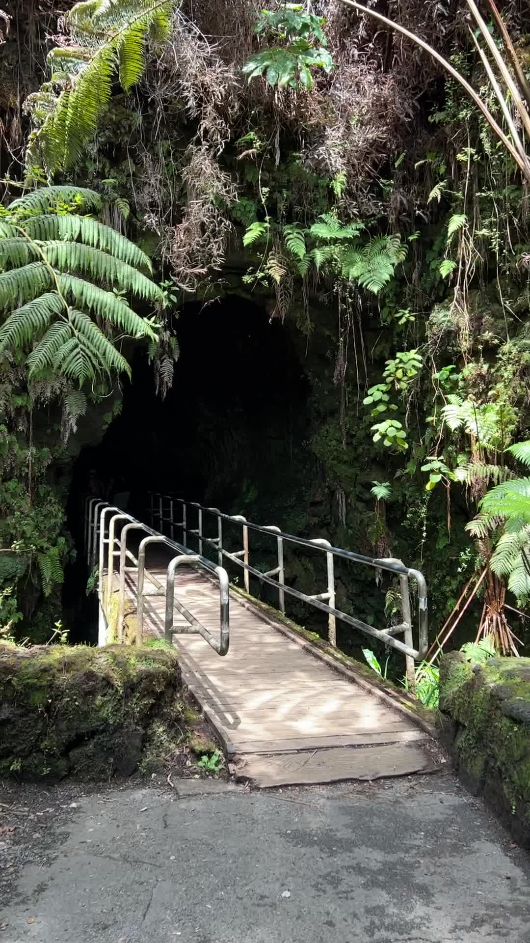 Lava Tube Cave