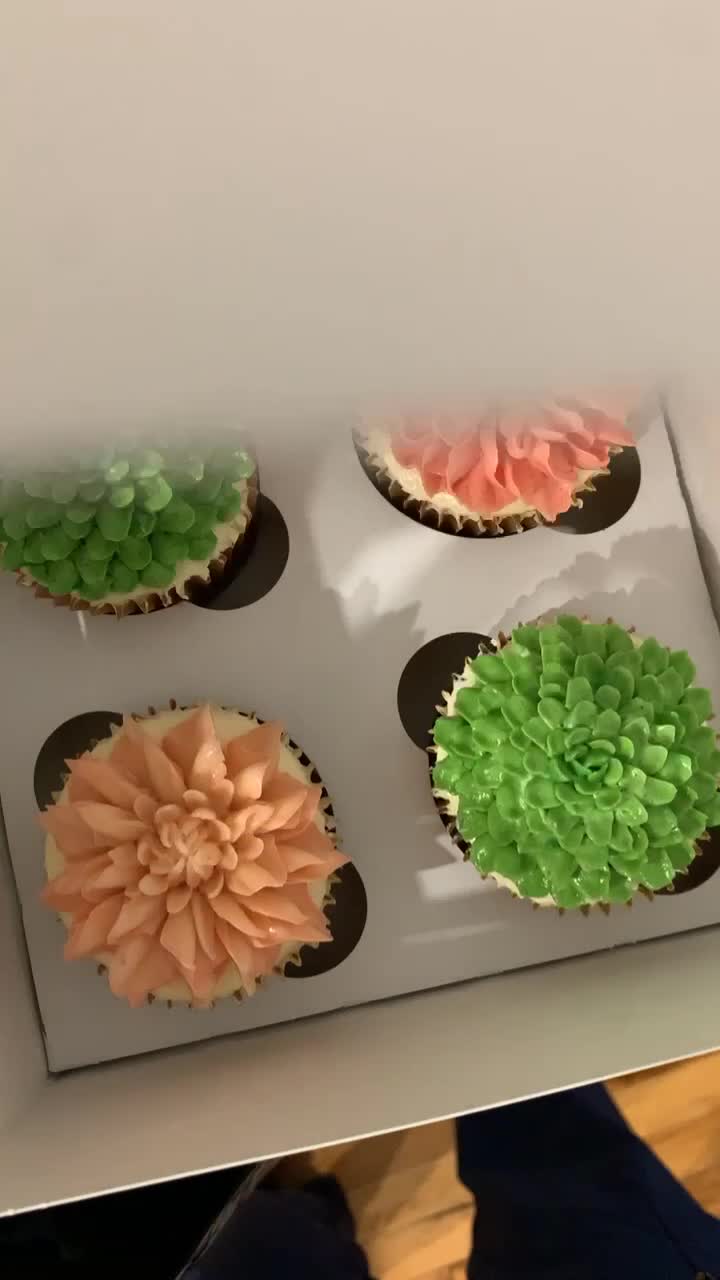 Cakes by Claire custom cakes and cupcakes