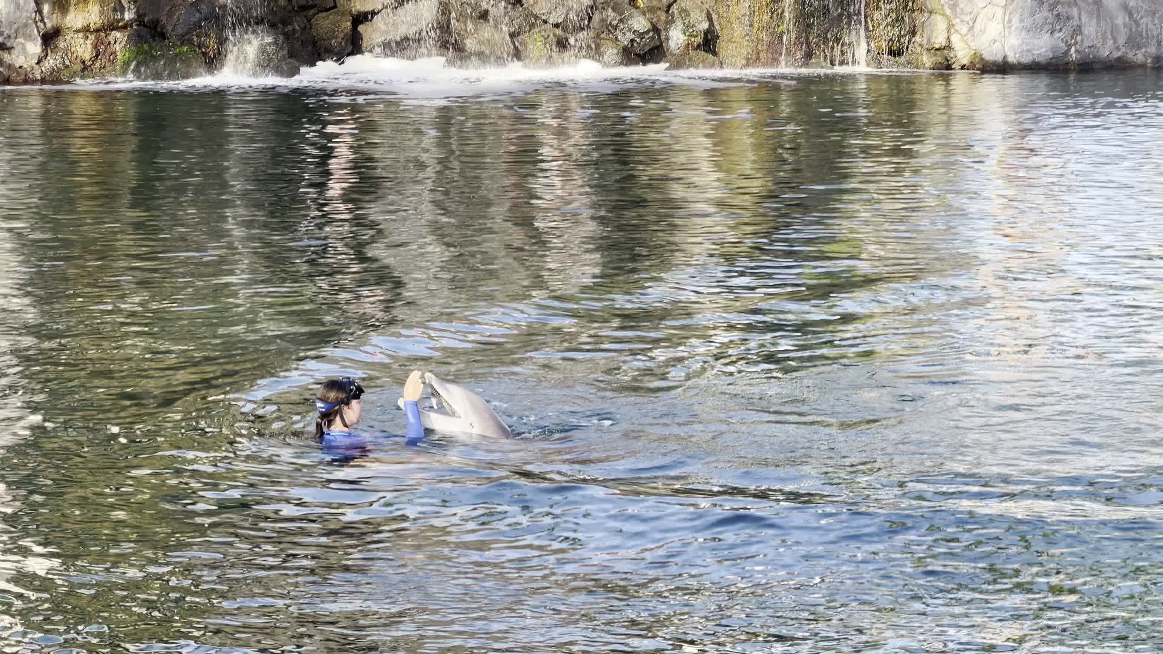 Video review of Dolphin Quest