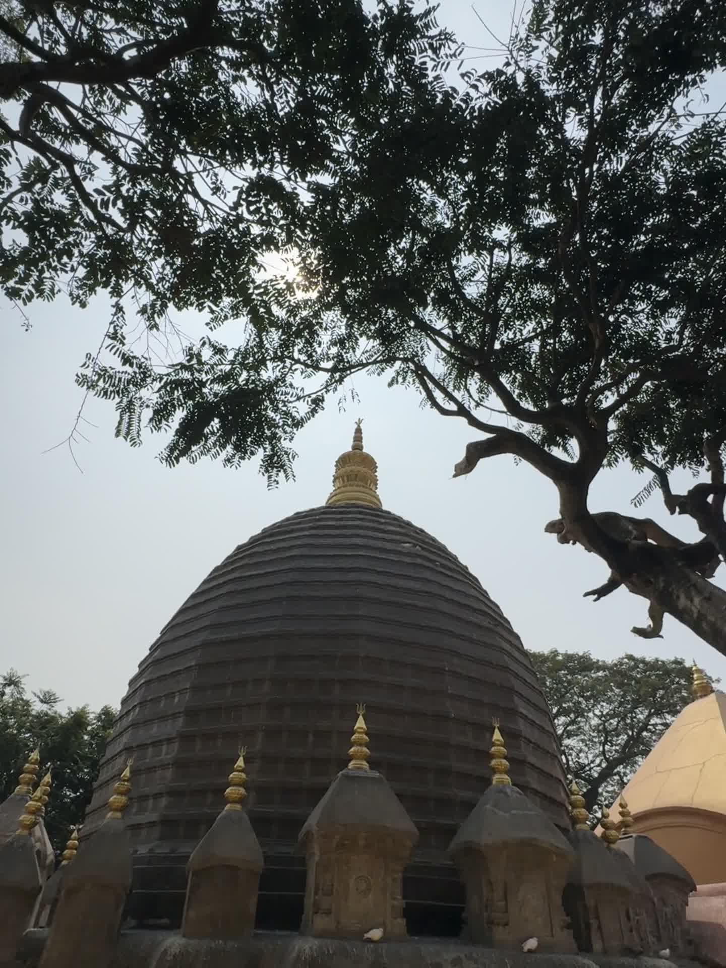 Kitchen Bar and Restaurant, Guwahati