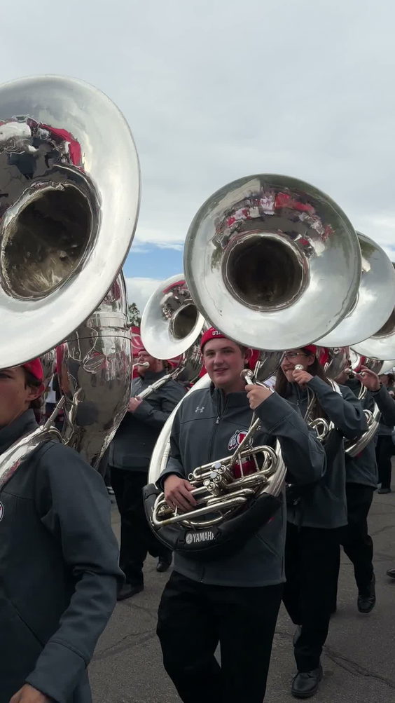 Ute Tailgate Lot
