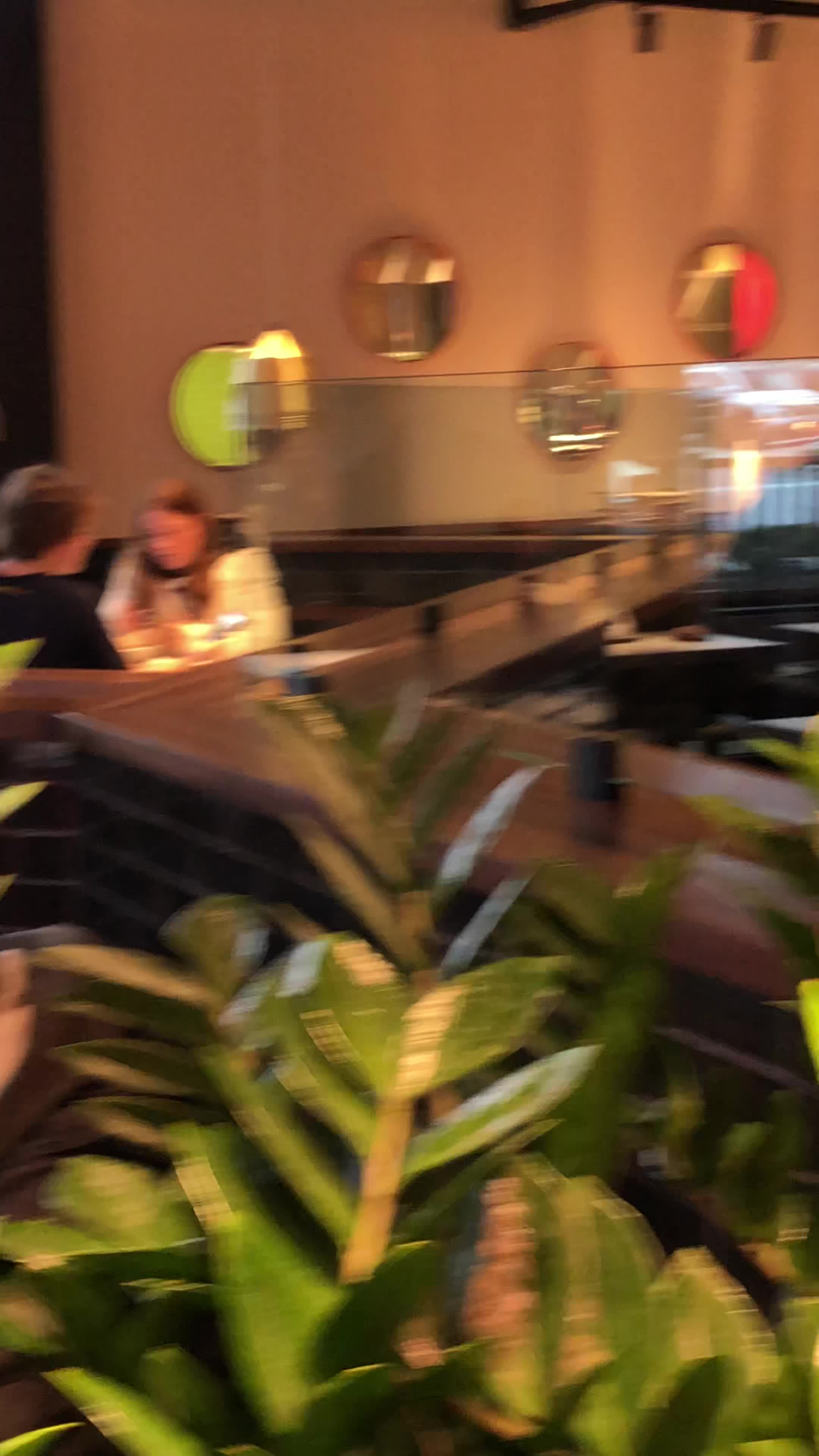 Video review of Brassica