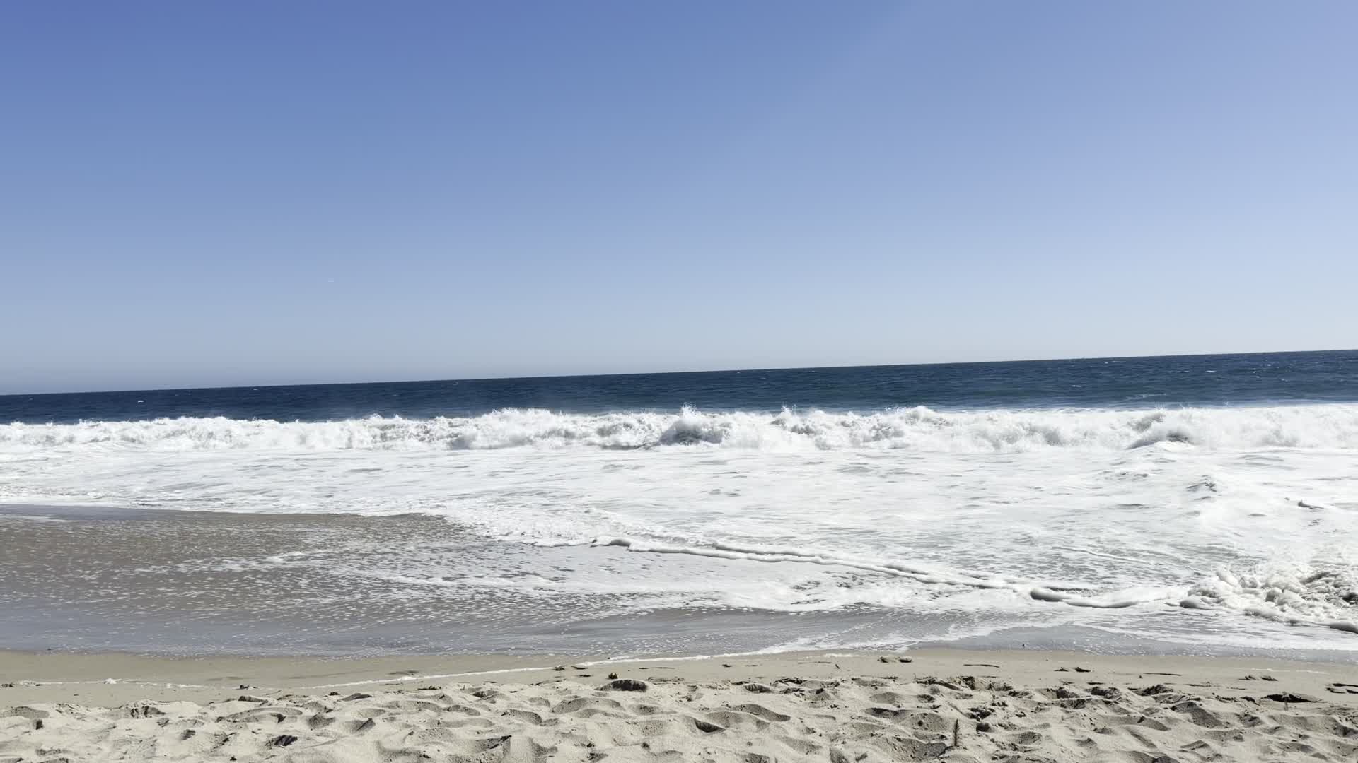 Venice Beach