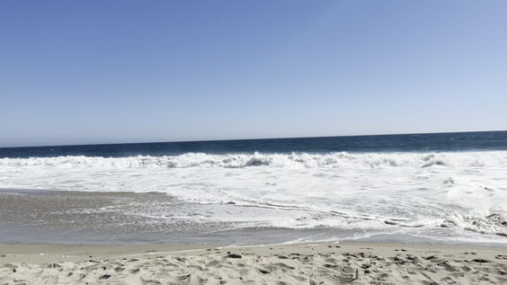 Venice Beach