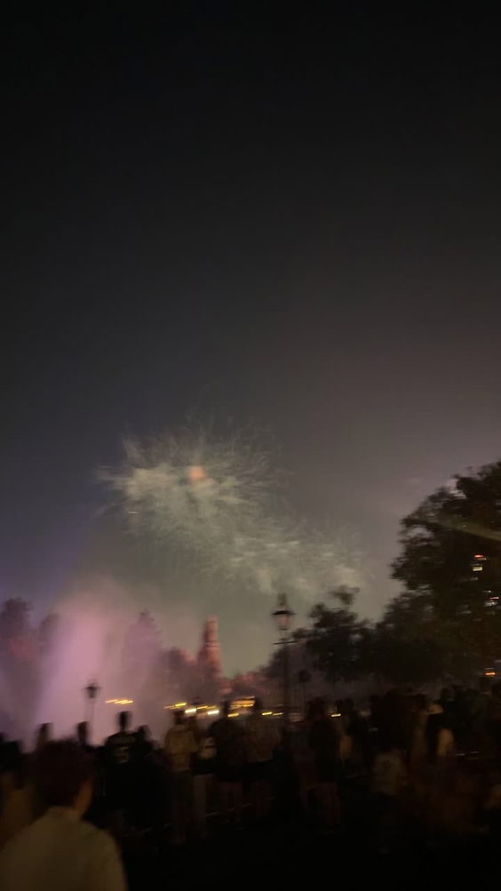 Disneyland Park