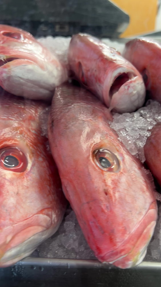 Best Seafood Direct