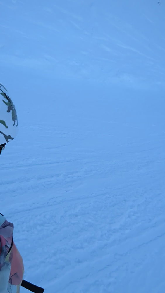 Lotte arai ski resort